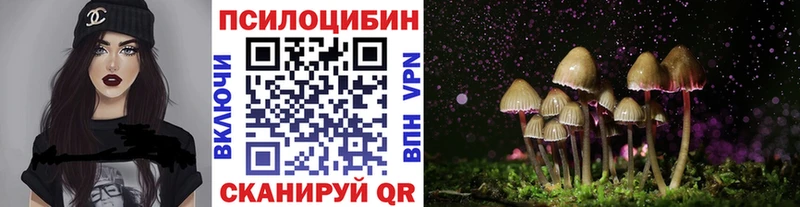 маркетплейс наркотические препараты  Тбилисская  Галлюциногенные грибы ЛСД 